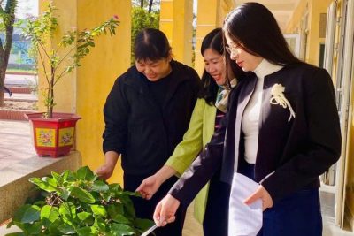 Không gian lớp học “xanh – sạch – đẹp – an toàn”.